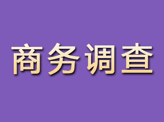 长垣商务调查